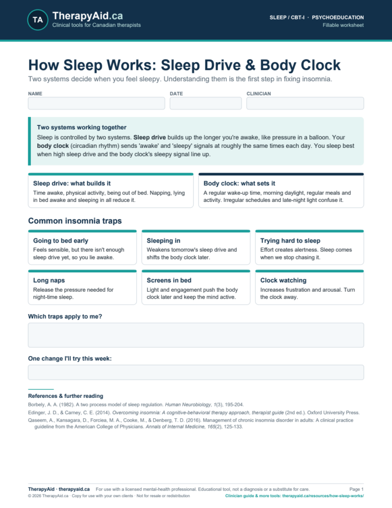 Preview of the How Sleep Works: Sleep Drive & Body Clock worksheet
