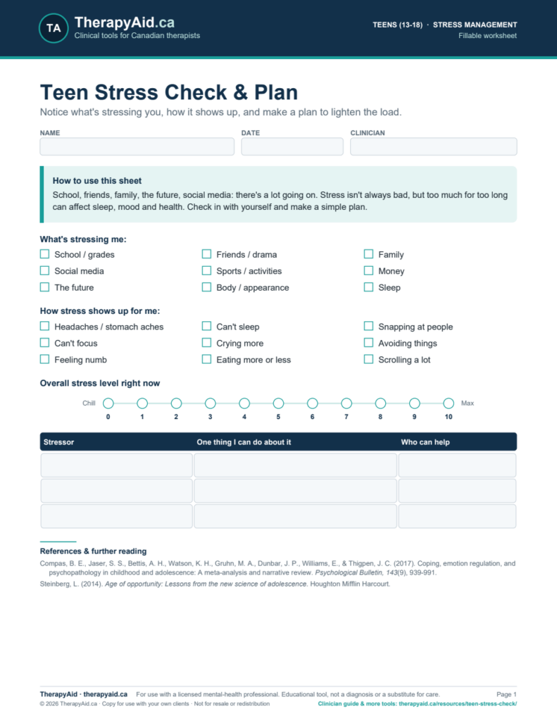 Preview of the Teen Stress Check & Plan worksheet